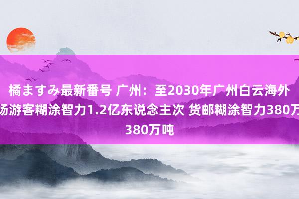 橘ますみ最新番号 广州：至2030年广州白云海外机场游客糊涂智力1.2亿东说念主次 货邮糊涂智力380万吨